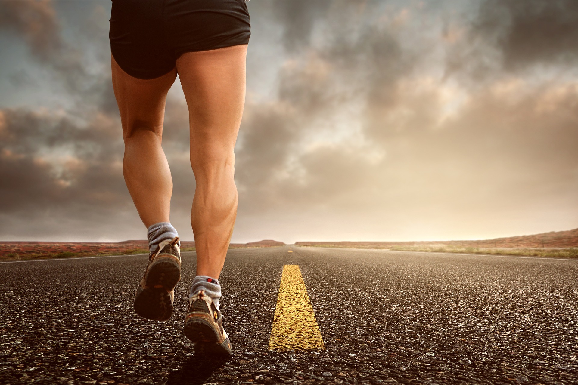 Zoom sur… Les Protéines