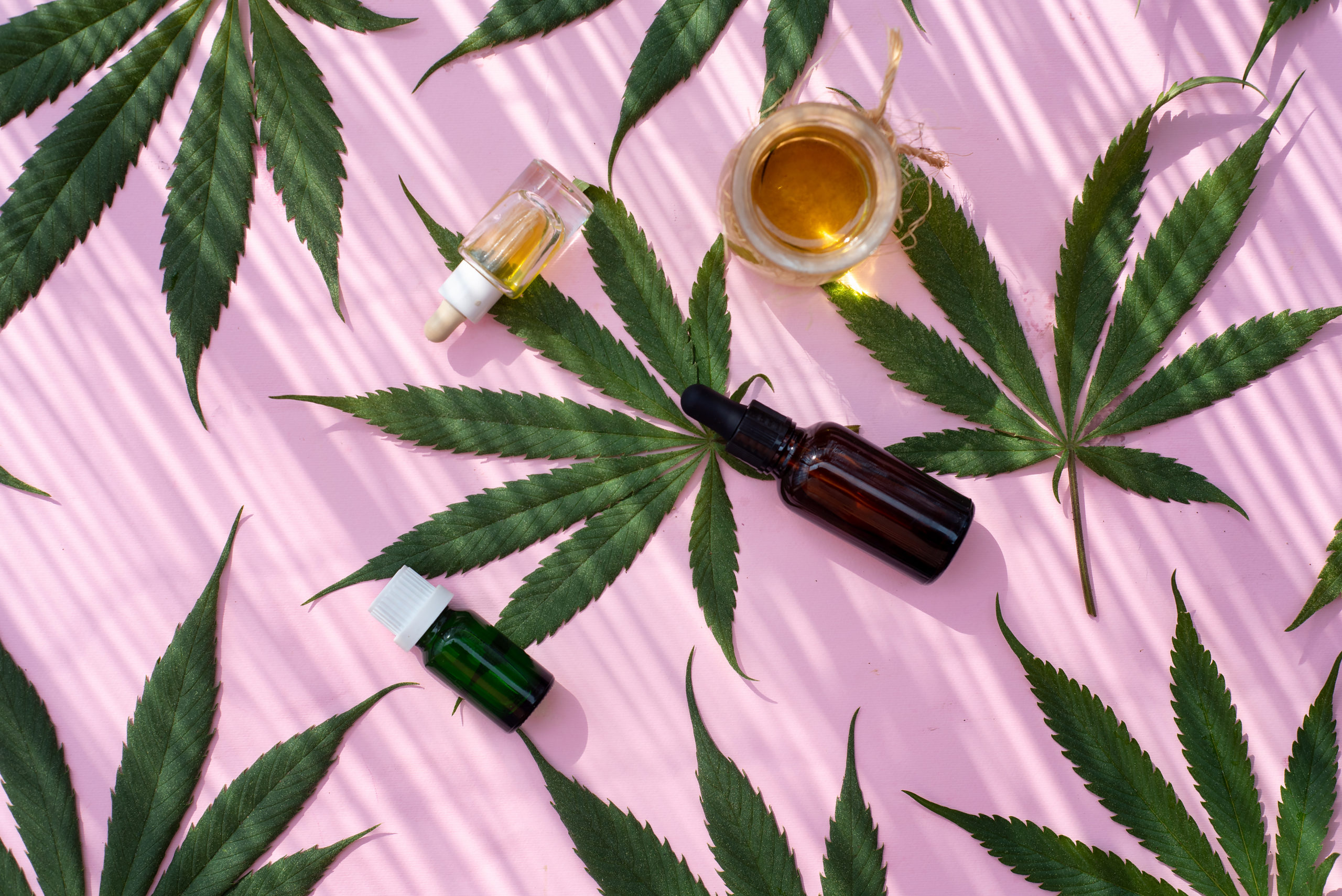 Mehr als nur ein Trend: Wie CBD-Produkte den Markt erobern