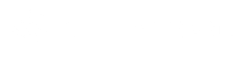 Blue light card logo in white